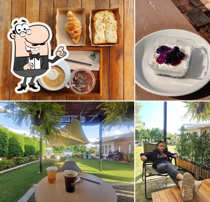 ร้านต้นไม้coffee