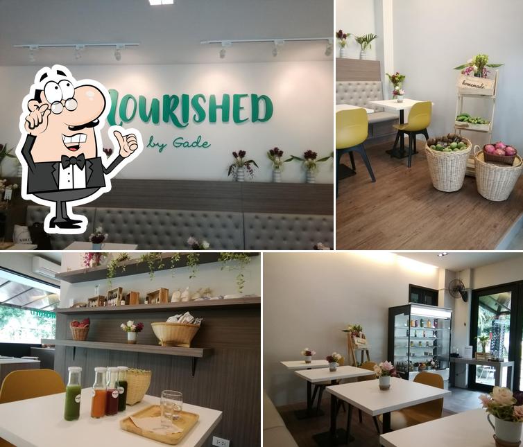 Nourished by Gade