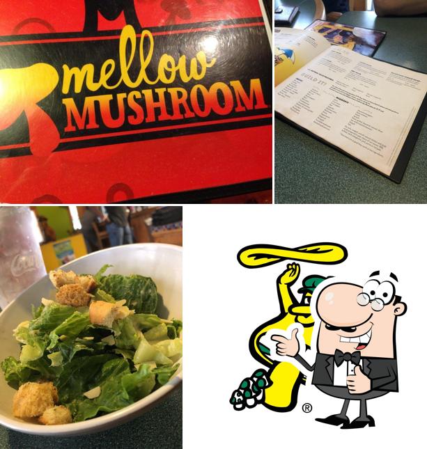 Mellow Mushroom Atlanta - Vinings