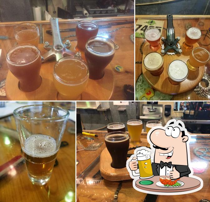 Catalina Brewing Company
