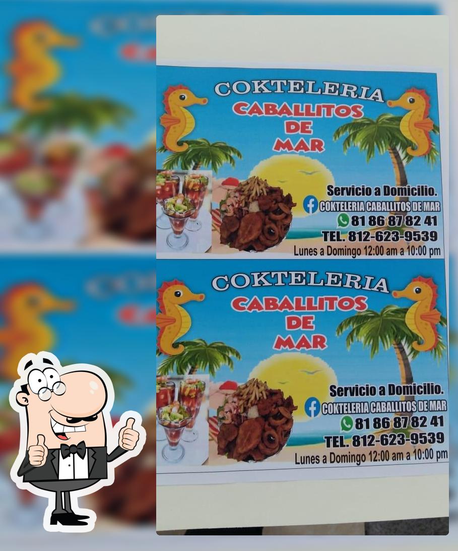 Caballito de mar