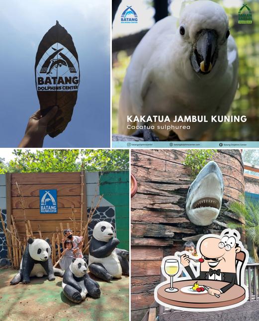 Safari Beach Jateng