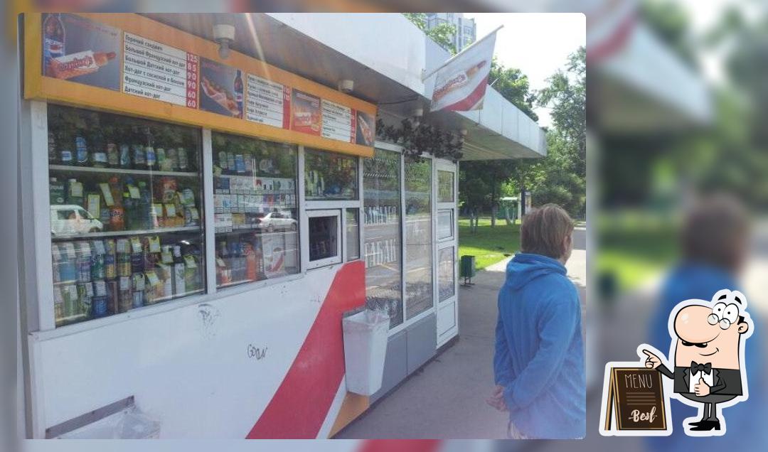 Стардог!s