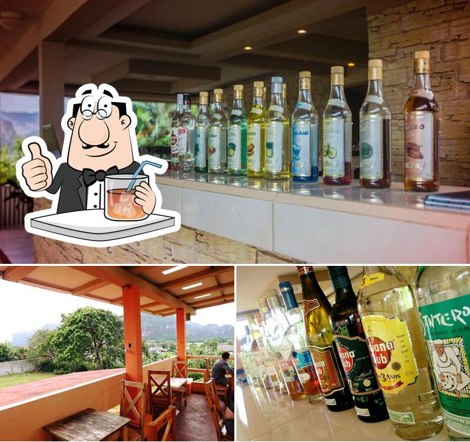 Mogote Café