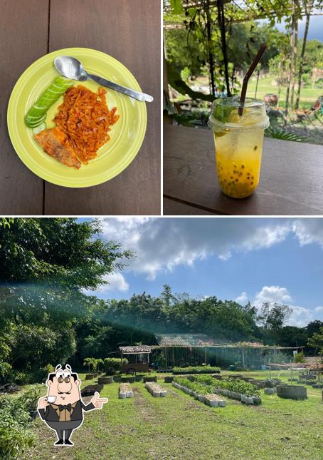 Farm to Café
