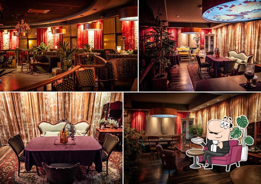 Jungle Lounge Cafe