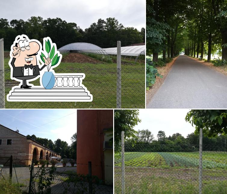 Agriturismo La Decima