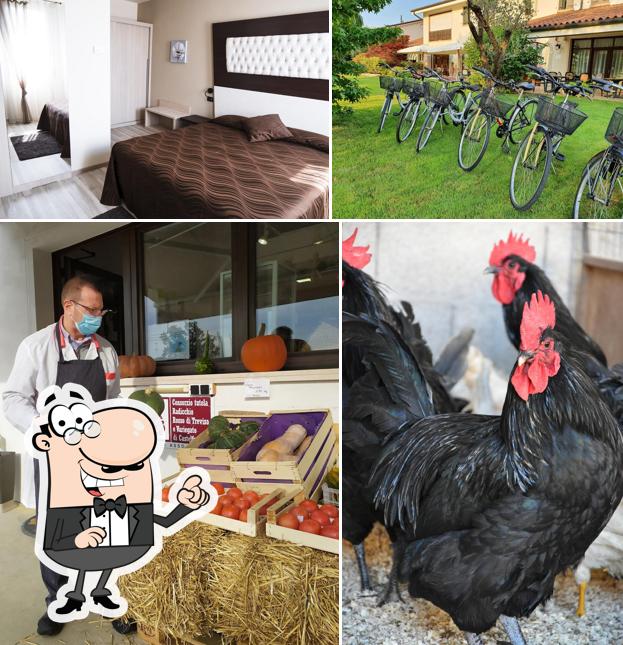 Farmhouse Il Cascinale