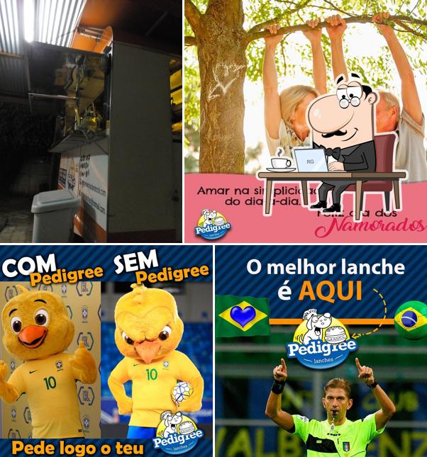 Jair Lanches