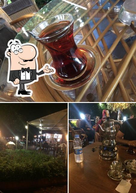 Çaykur
