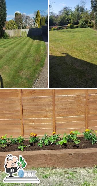 Js Gardening services