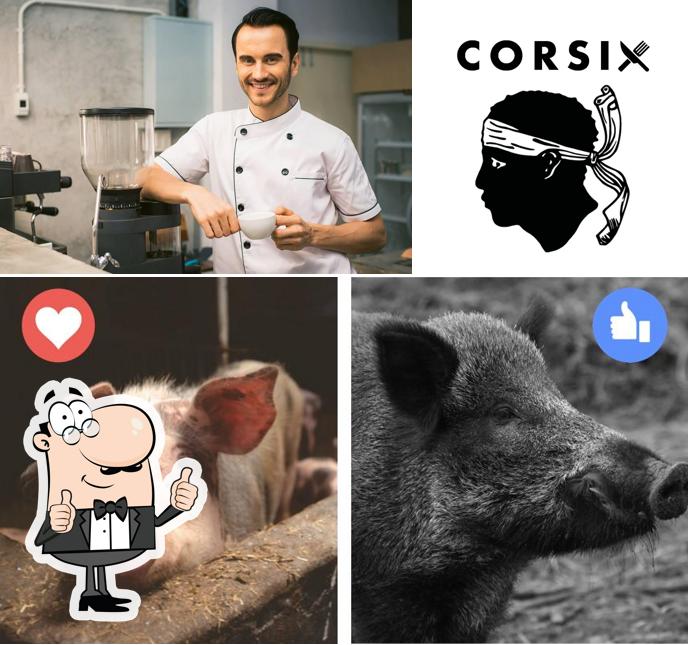 Corsix