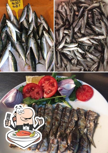 Baba Balıkçılık