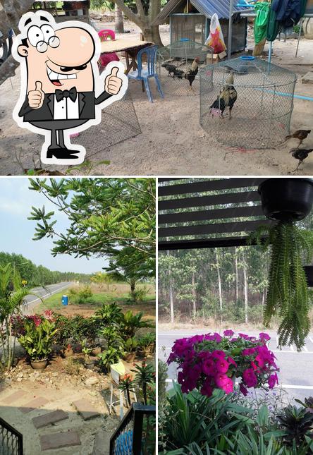 ยายจันทร์กาแฟโบราณ