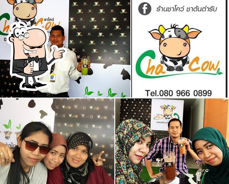 ร้านชาโคว์ ชาต้นตำรับ