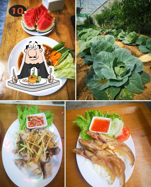 ครัวฮักดี