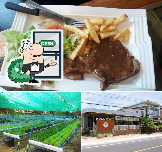 SuanFarmRak