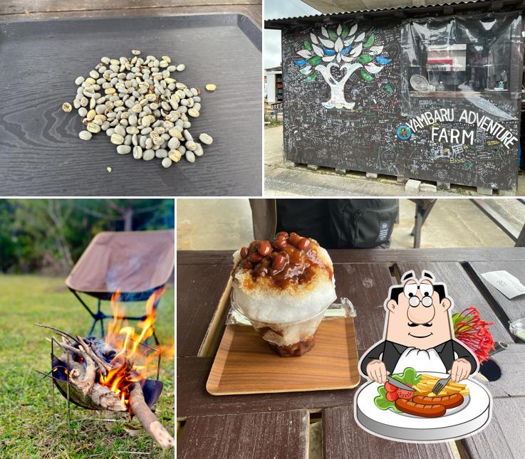 Matayoshi Coffee Farm