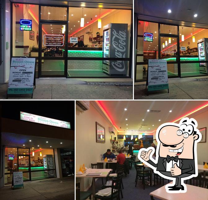 Blossom Chinese restaurant-桃源居