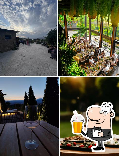 Ashtarak Vineyard