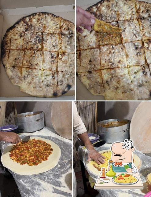 بوبكر شلبي للملة السوفية