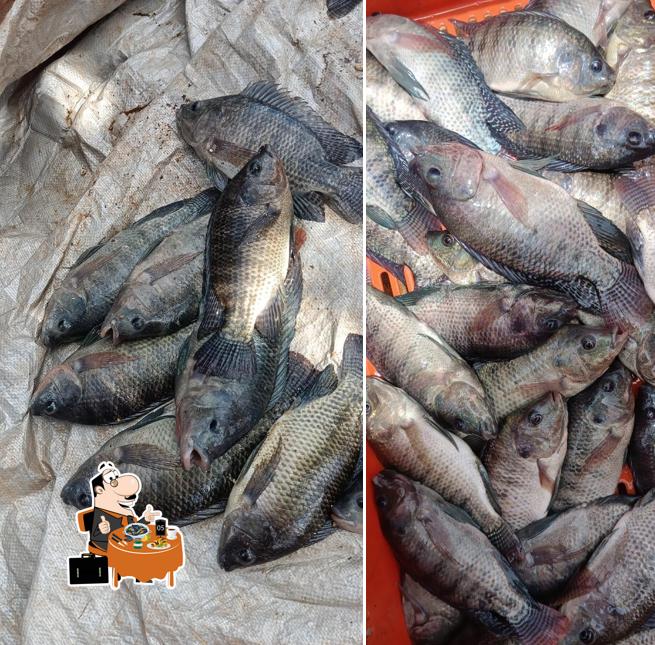 Las mojarras