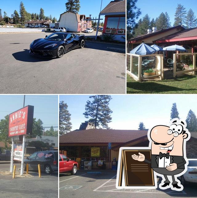 Cozy Diner Bar and Grill