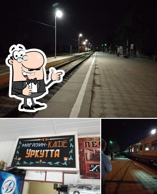 Куркутта