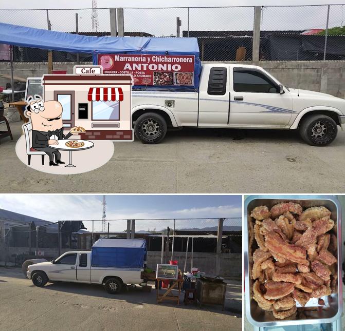 Chicharronera Antonio