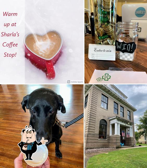Sharla's Coffee Stop