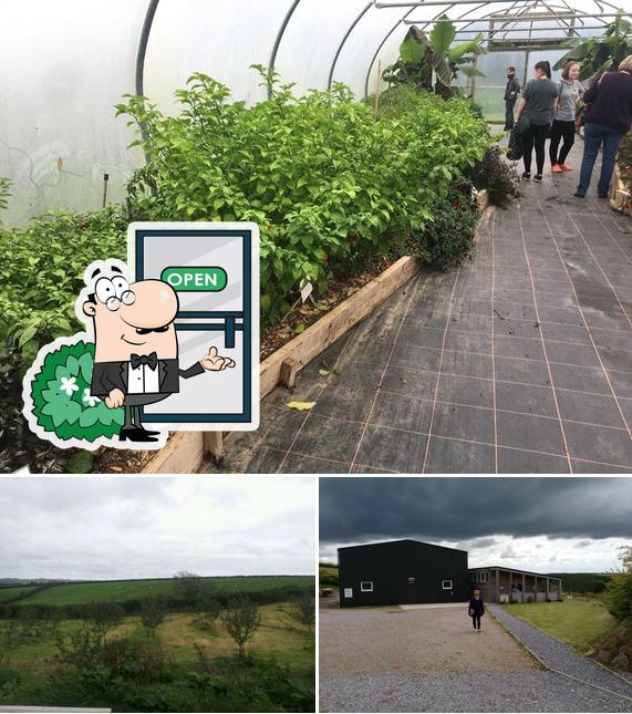 South Devon Chilli Farm