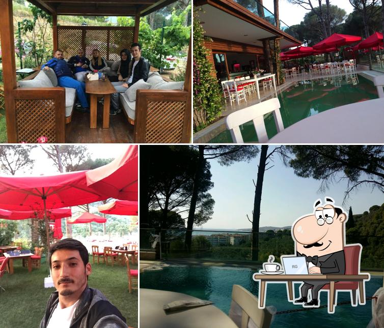 Çamlı Bahçe Et Mangal
