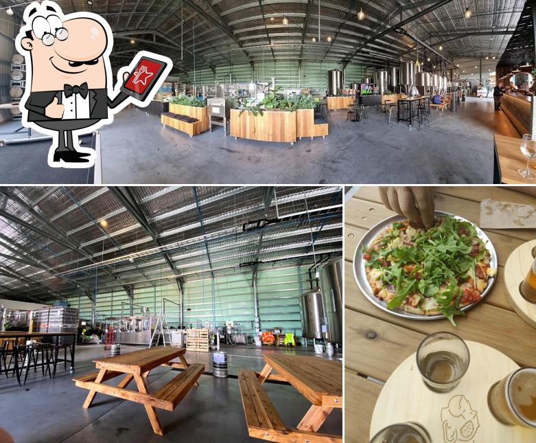 Cheeky Monkey HQ - Production Brewery and Tap House