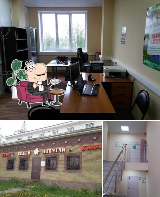 Белый попугай