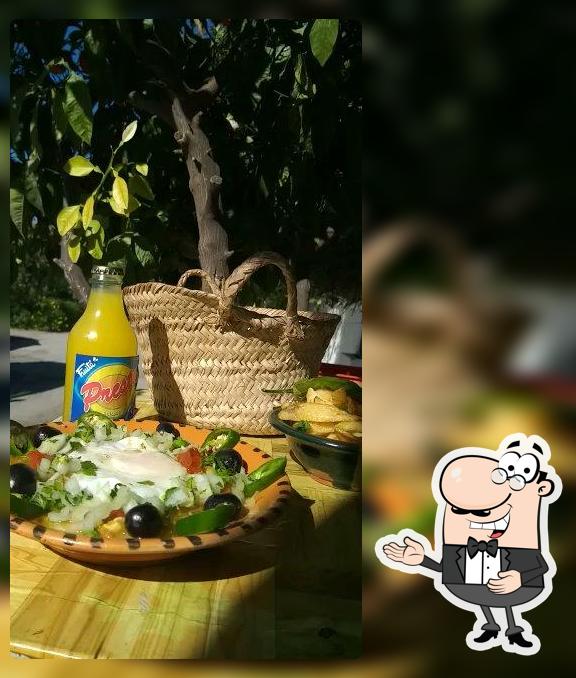 Chez chedly