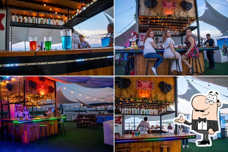 Circus Island Chapala
