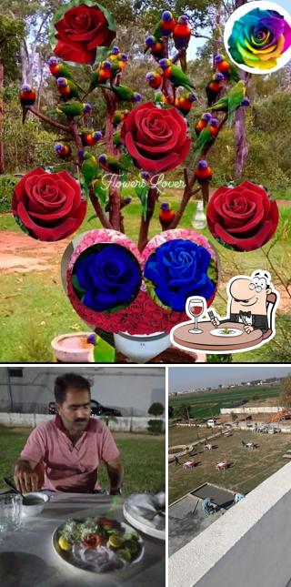 Farooq Plaza