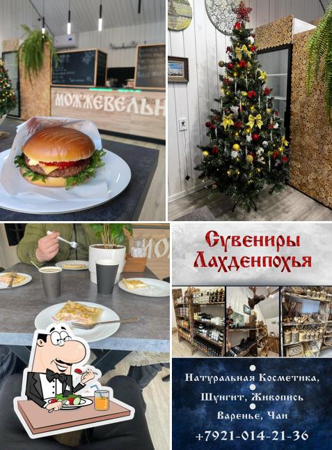 Можжевельник