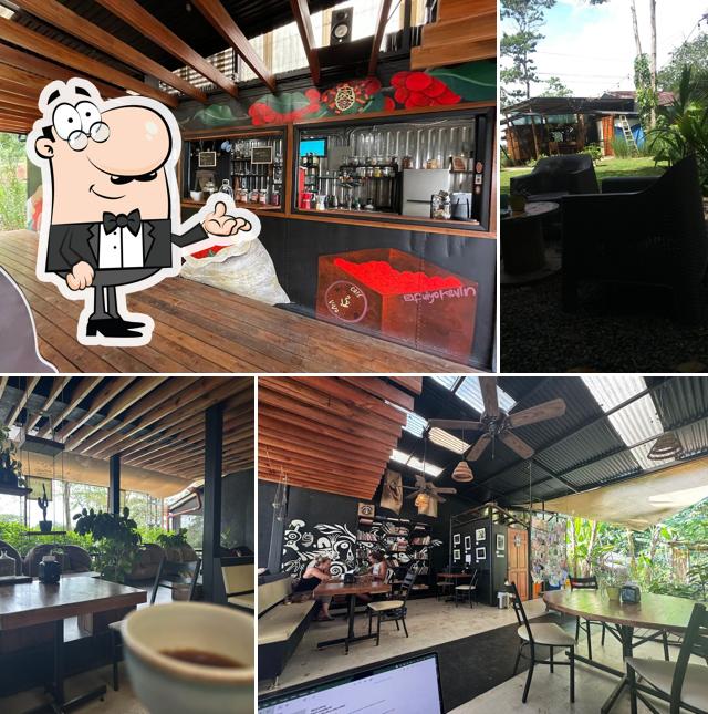 Café Vivo Uvita