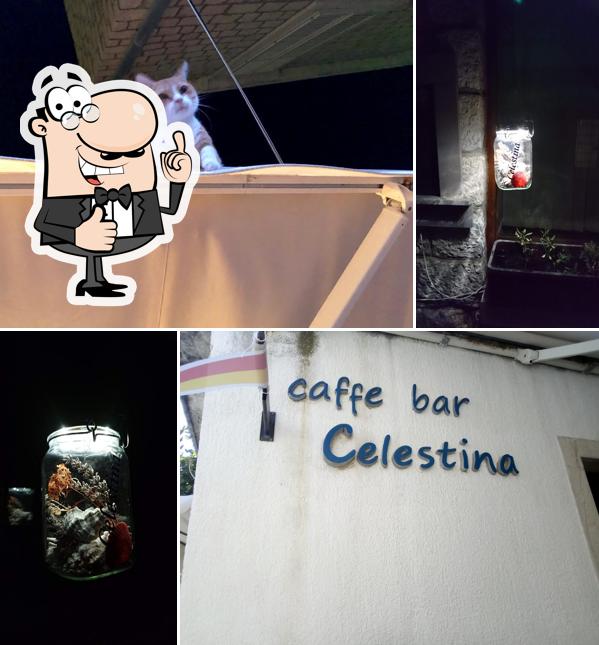 Caffe Bar Celestina