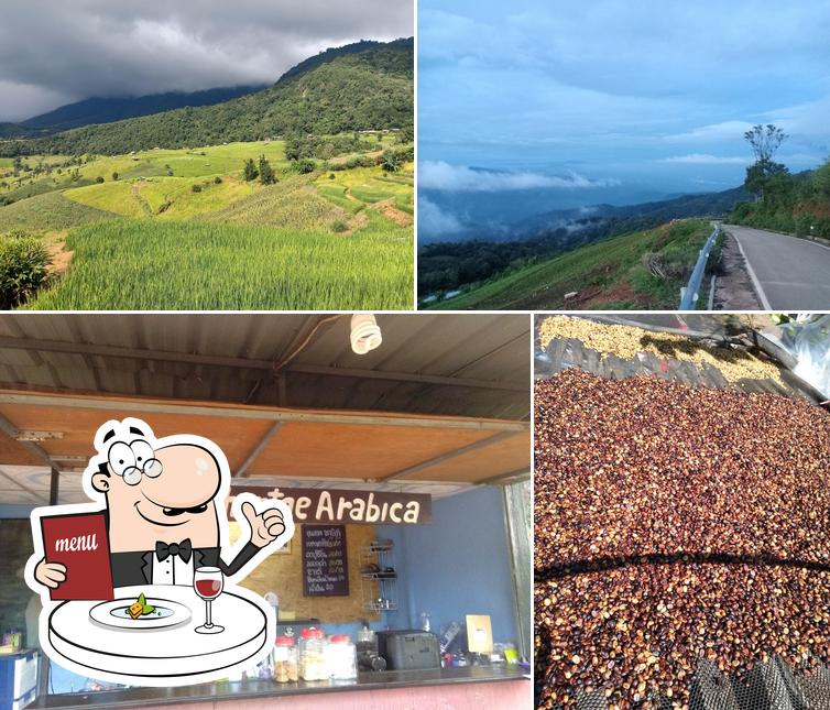Khuntae Arabica