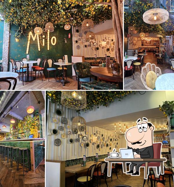 Restaurant Mezzeria Milo Utrecht centrum
