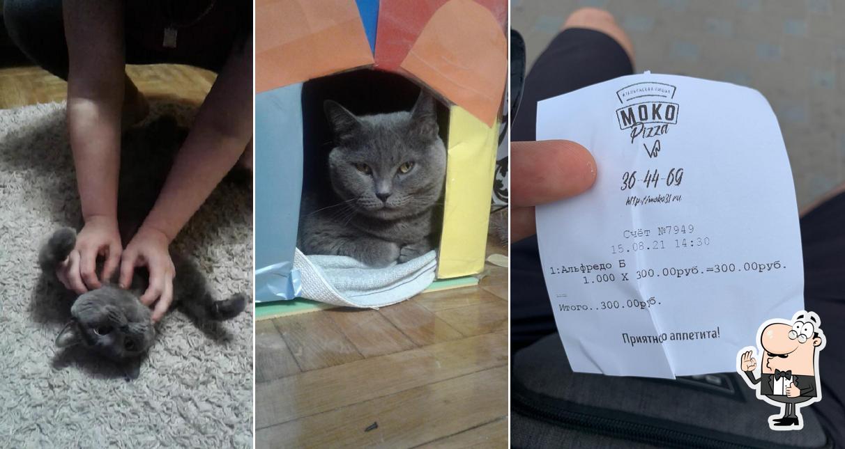 Моко