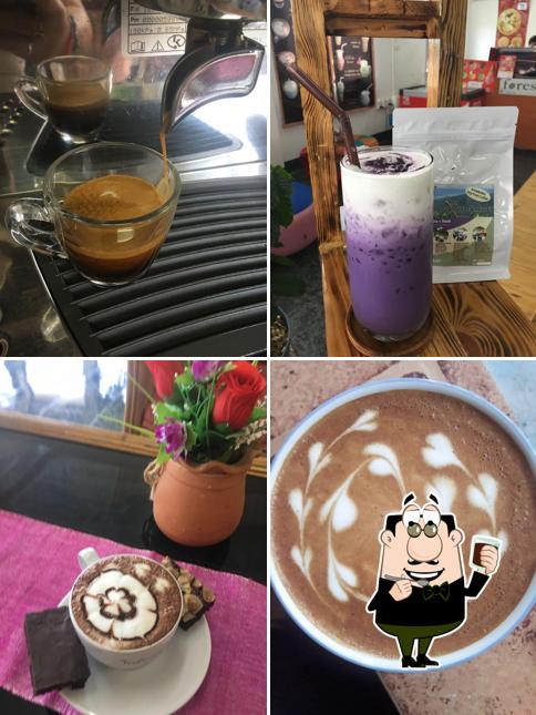 โรงคั่วกาแฟ ยอดก่อเกิด พญาเม็งราย Forest Roaster