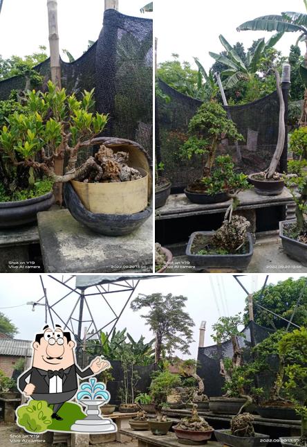 Bonsai tower