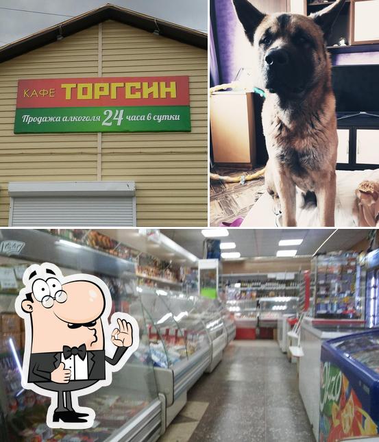 Торгсин
