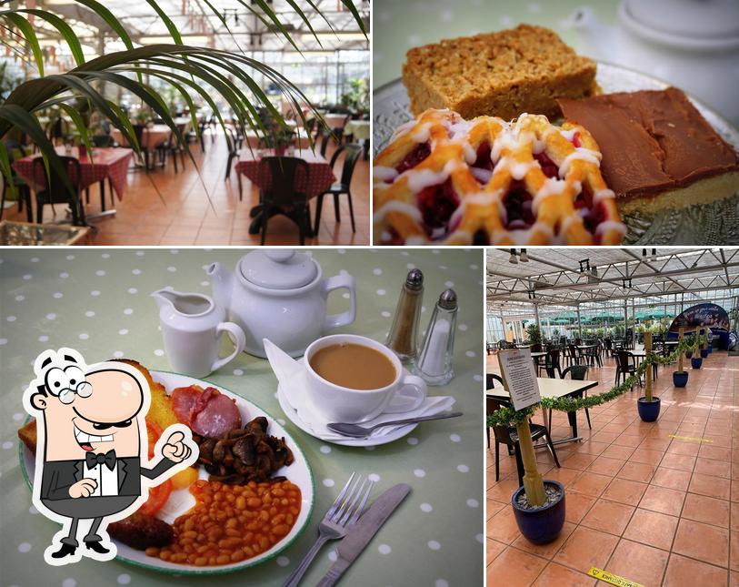 The Palm House Restaurant