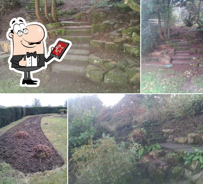 Dan Wightman Garden Maintainence
