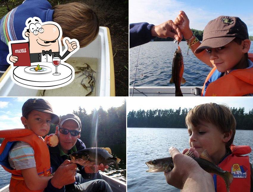 One Fish at a Time