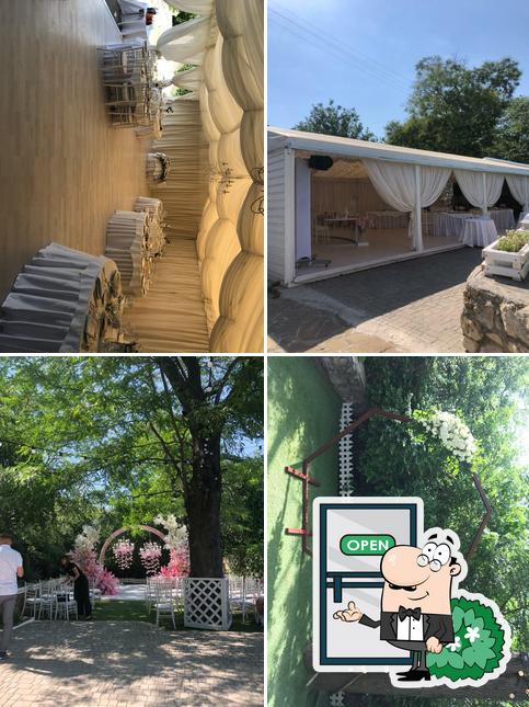 Южная Терраса